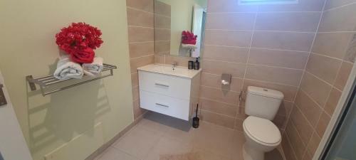 Apartamento Villa Lineddy/hapaline