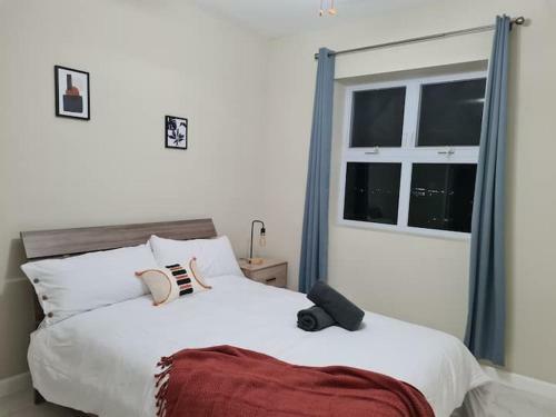 The Loft Apartment