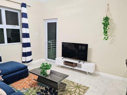The Loft Apartment