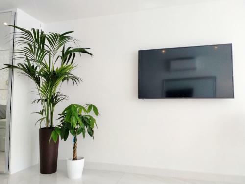 Apartamento Paradise Ocean View