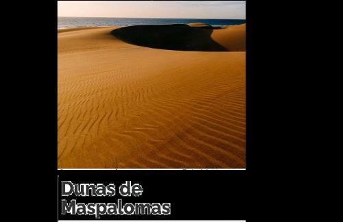 Beautiful Duplex Maspalomas