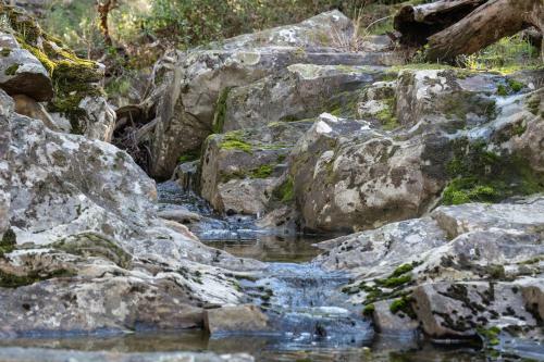 Hostal Arinya Retreat Daylesford