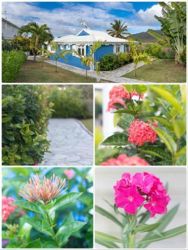 Villa Aliz� & Villa Aigue-marine