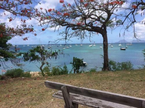 Apartamento Holidays In Martinique - Ravenala