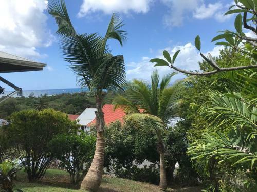 Apartamento Belfond-tropical
