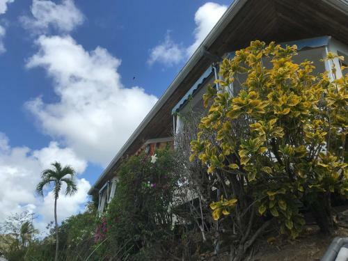Apartamento Belfond-tropical