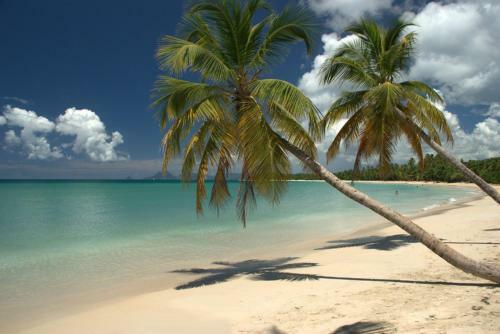 Apartamento Appt 2chb Avec Piscine