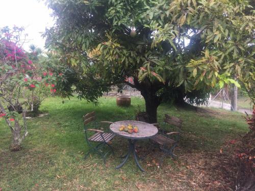 Apartamento Le Studio Du Manguier