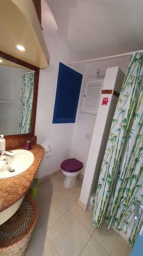 Apartamento Studio Vue Mer Le Colibri