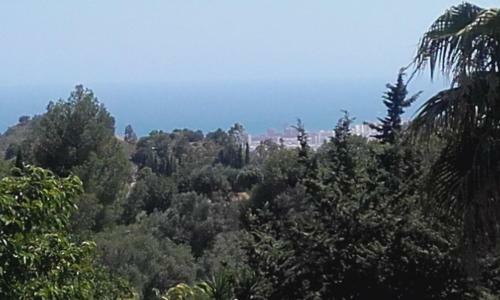 Apartamento Finca Batan