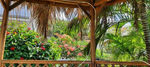 Apartamento La Fleur Des Cara�bes