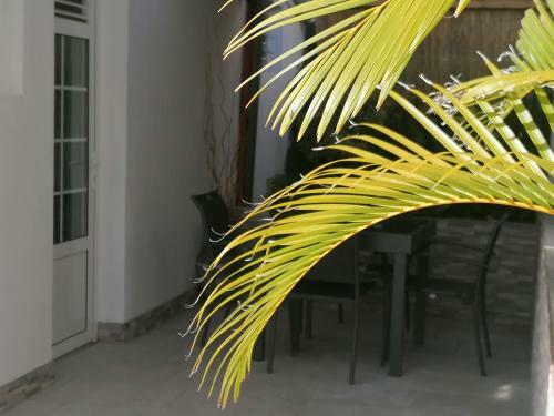 Apartamento R�sidence B&l Lagon : T3 Aliz�s