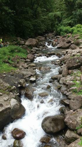 Haut De Villa Dans Son �crin De Verdure