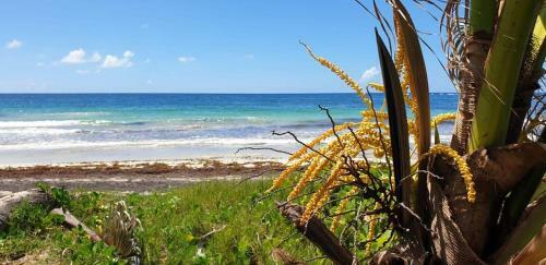 Apartamento Graine D Oasis