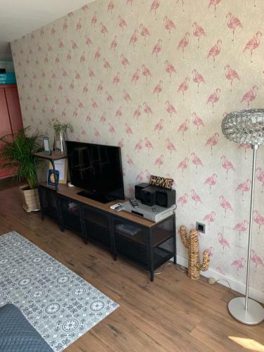 Apartamento Do�a Pia