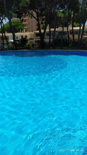 Apartamento Calypso Condo
