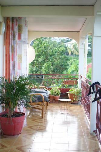 Hostal The Kapokier