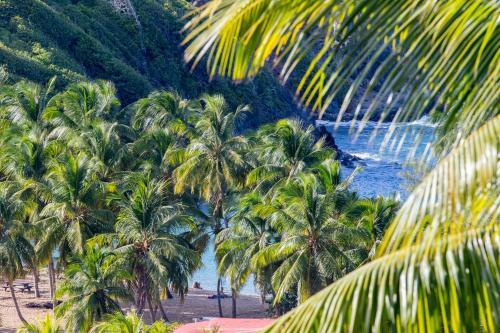 Apartamentos Au Citron Vert H�bergements