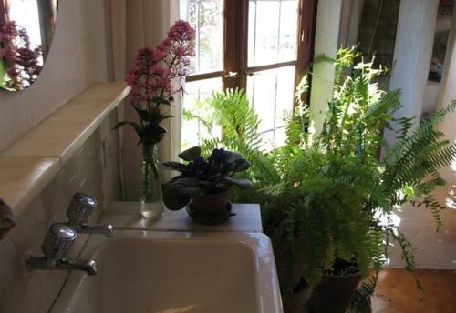 Apartamento Finca Sanant�n