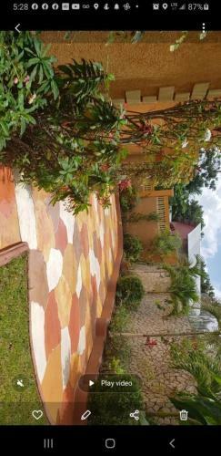 Mandeville Cheerful And Luxury Home