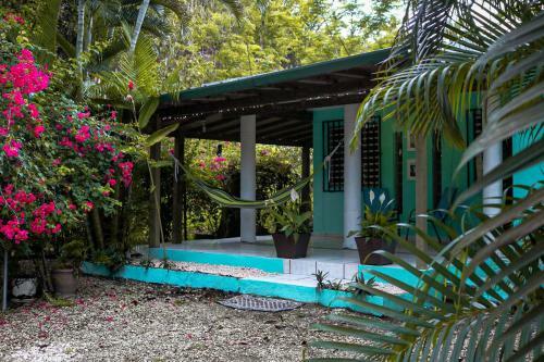 Rinc�n Blu Tropical House