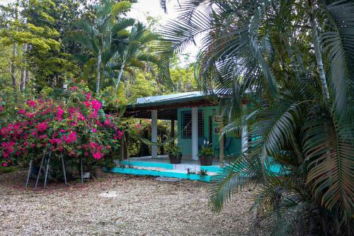 Rinc�n Blu Tropical House