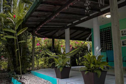 Rinc�n Blu Tropical House