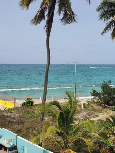 Avocado Beach Apartment