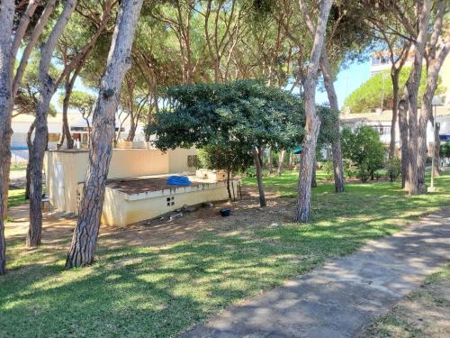 Apartamento Cerca Playa