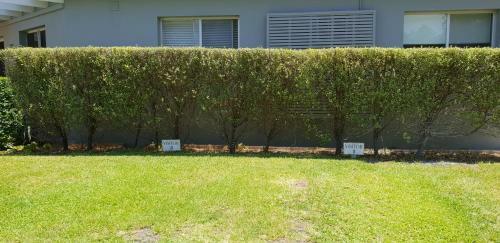 2 Austinmer Apartment