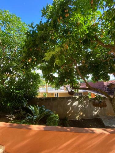 Mobay Vacation Village
