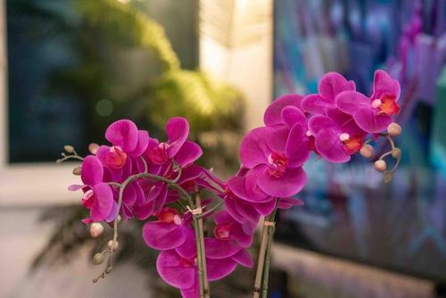 Apartamento Blissful 3br Art District Apt W/pk & Fast Wifi