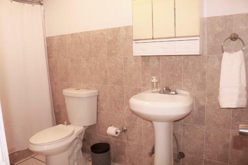Apartamento White Cactus House