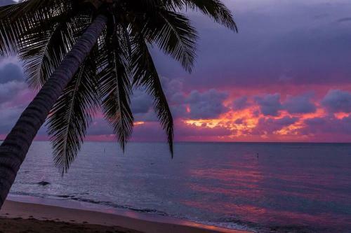 Apartamento Beach Perfect Property, Easy Access To Beach And City!