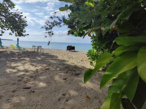 Apartamento Hideaway At Sunrise, Escape In Jamaica