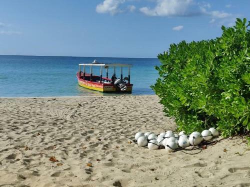 Apartamento Hideaway At Sunrise, Escape In Jamaica