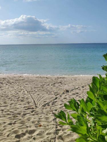 Apartamento Hideaway At Sunrise, Escape In Jamaica