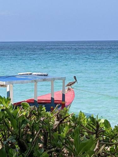 Apartamento Hideaway At Sunrise, Escape In Jamaica