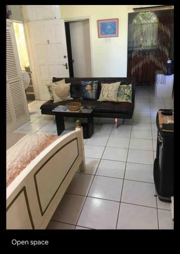 Villa #d1 Castle Studio Wifi King Bed Ocho Rios Jamaica