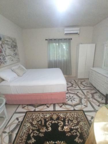 Bed & Breakfast Grace Garden Guesthouse