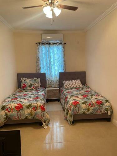 Apartamento My Palm Retreat