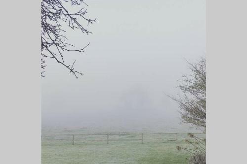 Myrtlemae Farm