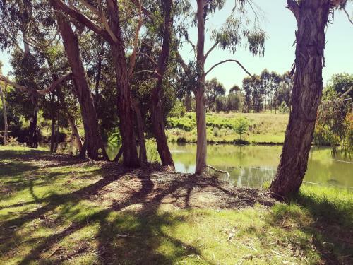 Woodlands Of Balingup Bush Cottages