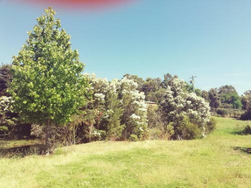 Woodlands Of Balingup Bush Cottages