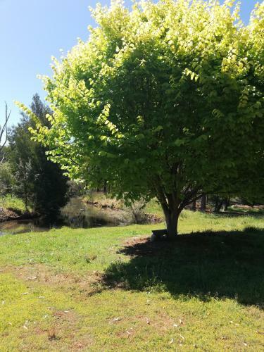 Woodlands Of Balingup Bush Cottages