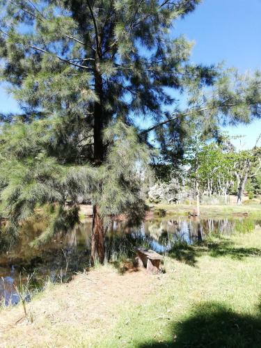 Woodlands Of Balingup Bush Cottages