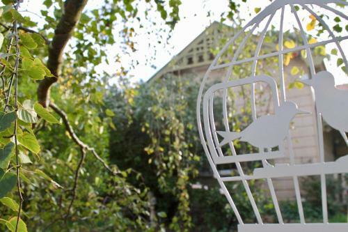 Silver Birch B&B