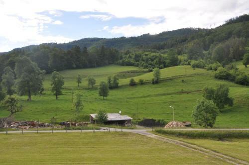Apartamento Mostheuriger Steyrdurchbruchalm