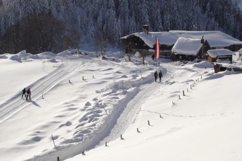 Hostal Pension Waldesruh/halseralm