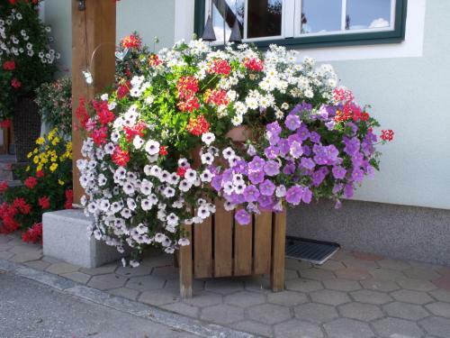 Apartamento Appartements Bacherhof